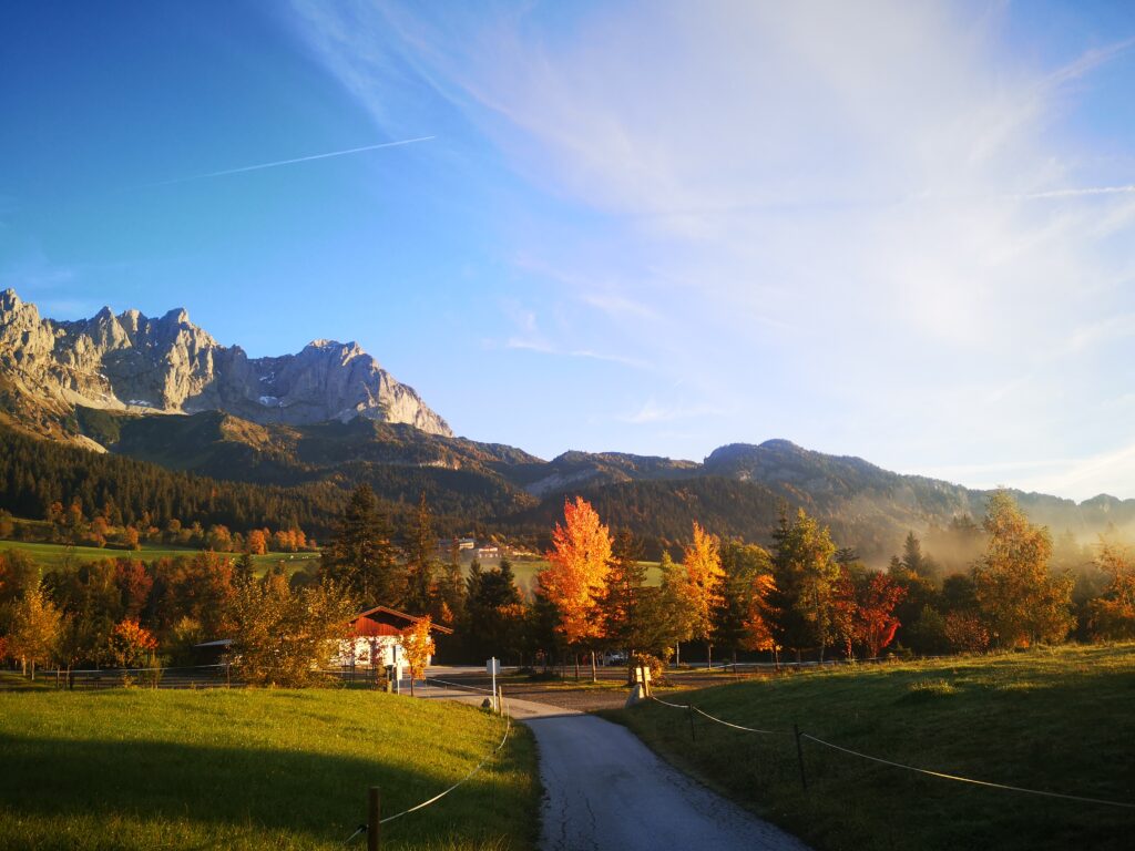 Wiesenhof - Herbst